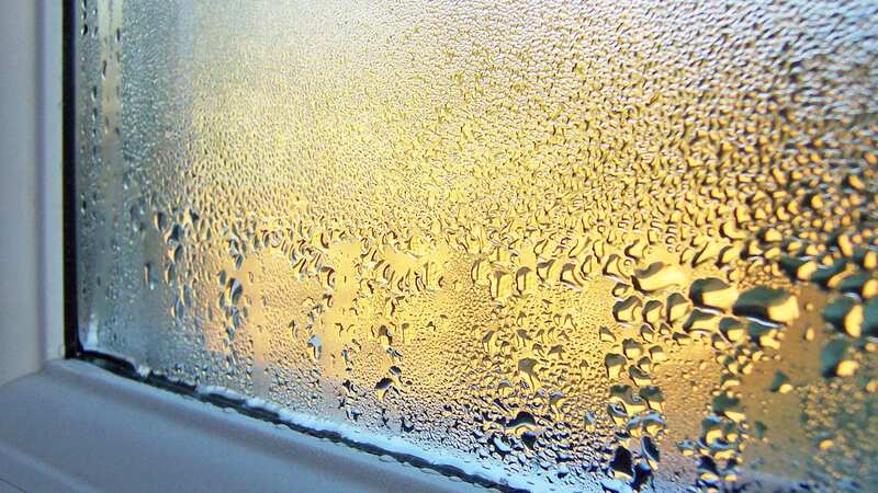 She shared how you can make your own dehumidifier (Image: Getty Images/iStockphoto)
