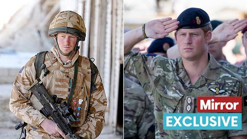 Prince Harry had a career in the military