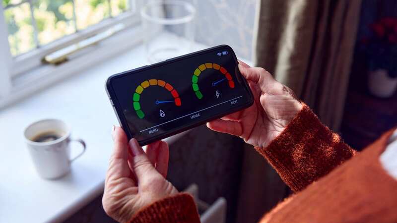 A social energy tariff could have saved 2.2 million households from fuel poverty (Image: Getty Images/iStockphoto)