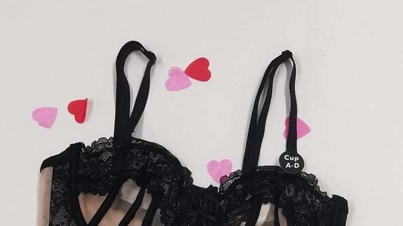 Love is in the air at Poundland this Valentine