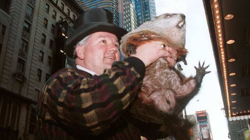 Groundhog handler William Deeley holds up Punxsutawney Phil, a groundhog (Image: Getty Images)