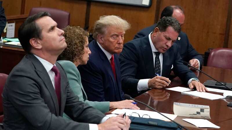 Donald Trump reportedly threw a temper tantrum after he discovered that his lawyers had offered to provide lunch for E. Jean Carroll