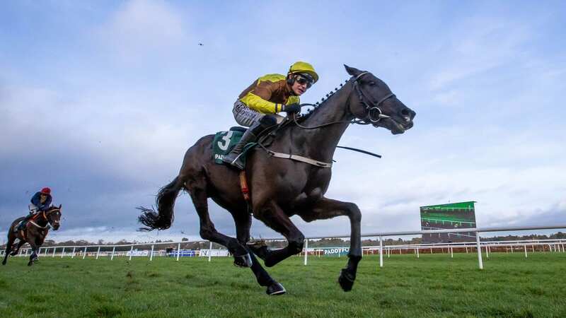 Galopin Des Champs (1-3f) pulled four-and-a-half lengths clear of Fastorslow (Image: ©INPHO/Morgan Treacy)