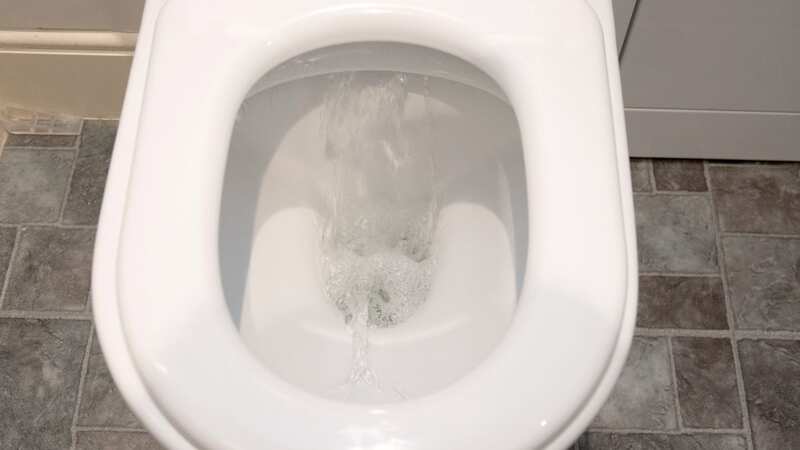 Worst things about using public toilets - like overwhelming smells, survey finds