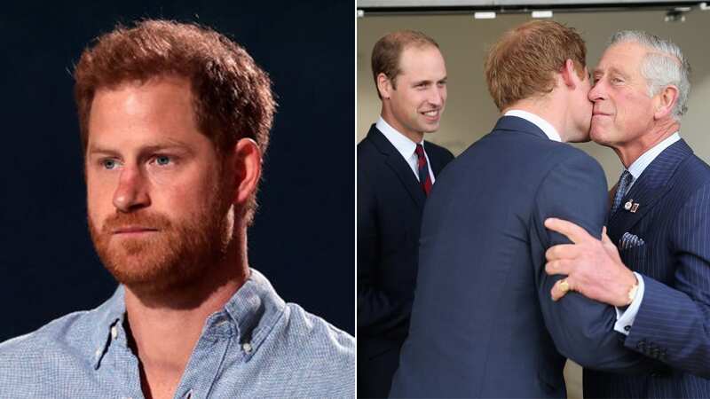 Prince Harry and Prince William won