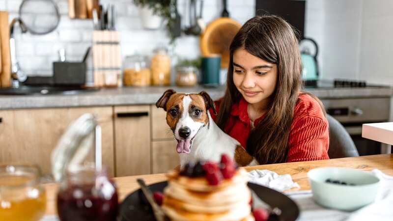 There are many reasons pancakes shouldn
