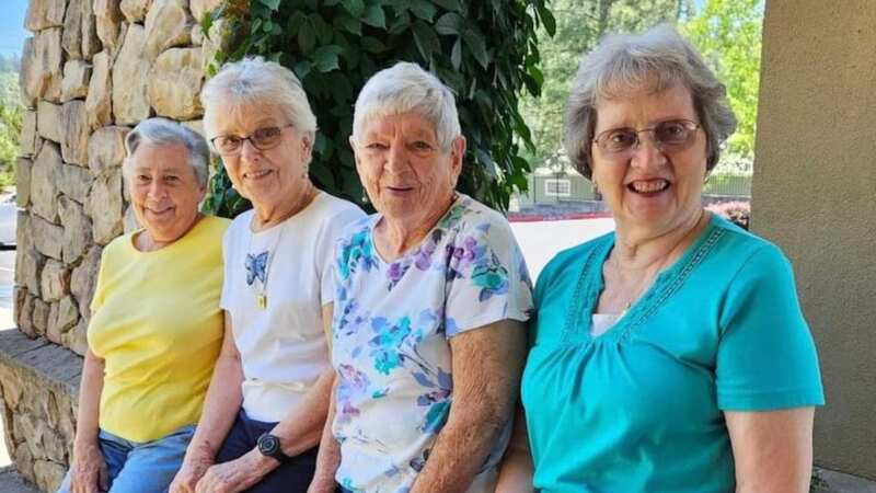 Joan Harris, Elsie Webb, Sylvia Crane, and Mary Grace Tassone are the new Blanche, Dorothy, Rose, and Sophia - living out the real-life 