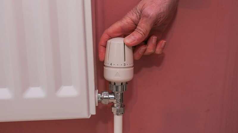 Saving energy has become the second most frequent source of conversation after holidays (Image: Joseph Walshe © SWNS)