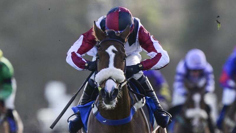 Absolute Steel causes a 200-1 shock at Exeter (Image: Phil Mingo/PPAUK/REX/Shutterstock)