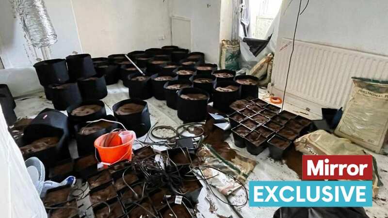 The estate agent says it is ‘understood to have previously been used as a cannabis farm