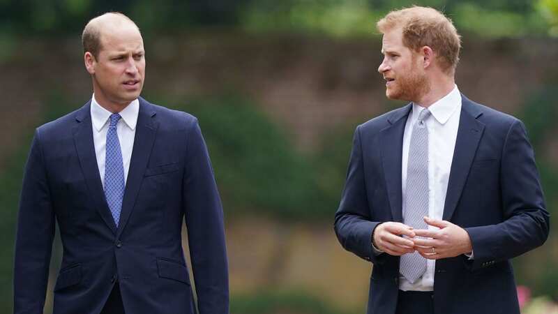 New royal website proves sibling row between Prince Harry and Prince William rages on