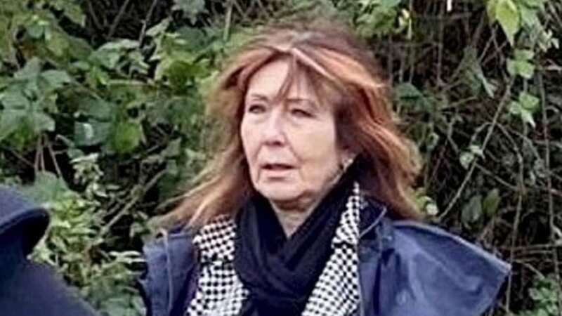 Sine Garvie-McInally must take down the fence (Image: Eastern Daily Press / SWNS)