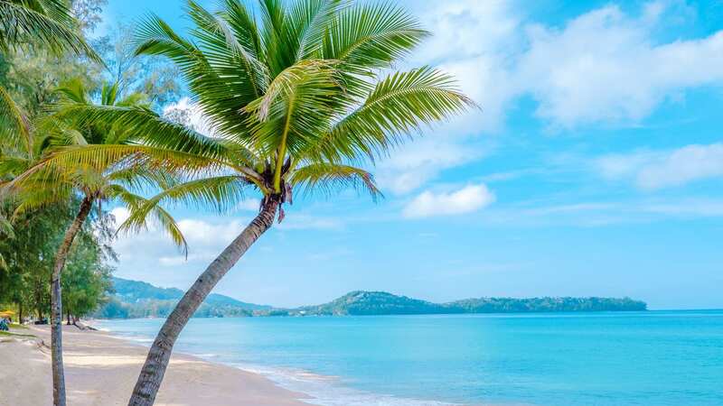 A British tourist was killed while on holiday in Thailand (Image: Getty Images)
