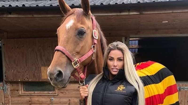Animal lover Katie Price has reportedly suffered another blow (Image: Katie Price/Instagram)