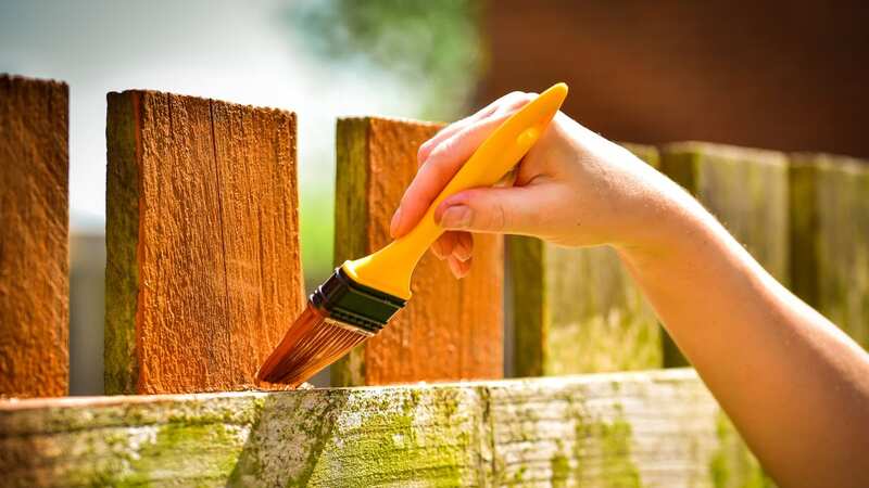Hack easily removes algae stain (Stock Photo) (Image: Getty Images/EyeEm)