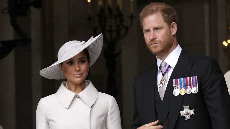 Harry and Meghan recently launched sussex.com - but not without controversy (Image: PA)