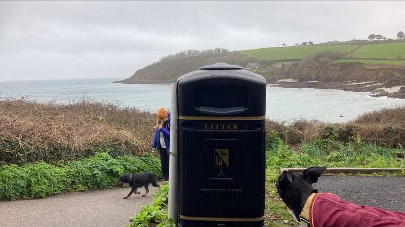 The dog poo bin in front of the bench on Pennance Point, overlooking Swanpool Beach, Falmouth (Image: Jude Robinson / SWNS)