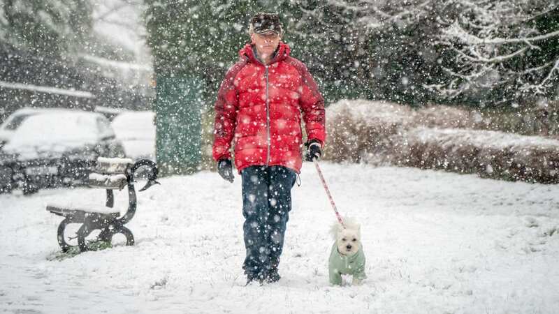 Winter isn