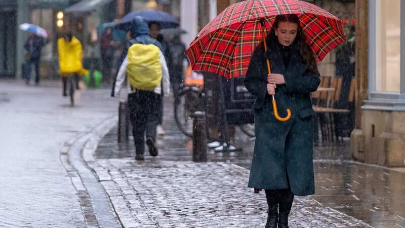 The Met Office has issued a yellow weather warning for thunderstorms (Image: James Linsell-Clark / SWNS)