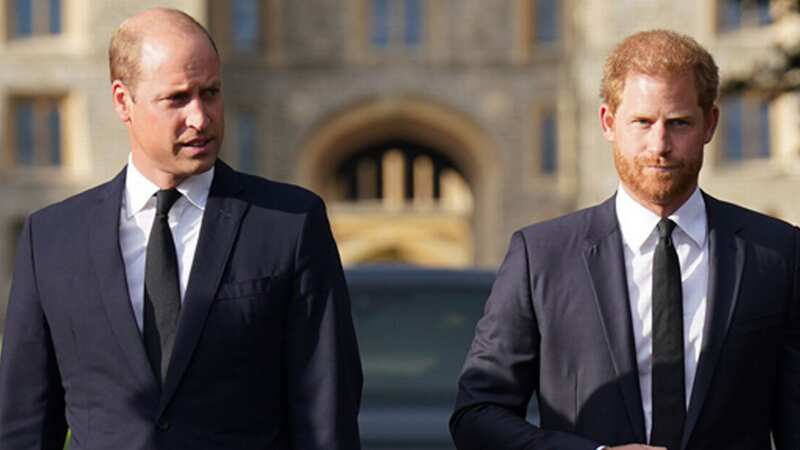 Prince William and Prince Harry are estranged