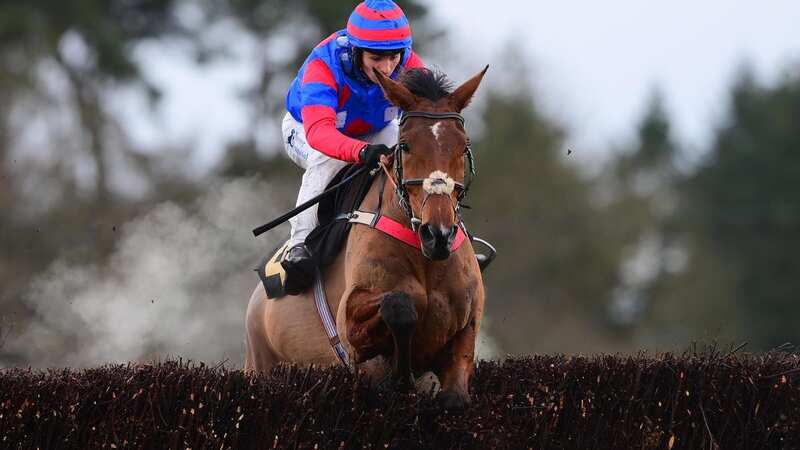 Mr Vango excelled in the Exeter mud, as he came home a wide margin winner of the My Pension Expert Devon National (Image: TOM SANDBERG/PPAUK/REX/Shutterstock)
