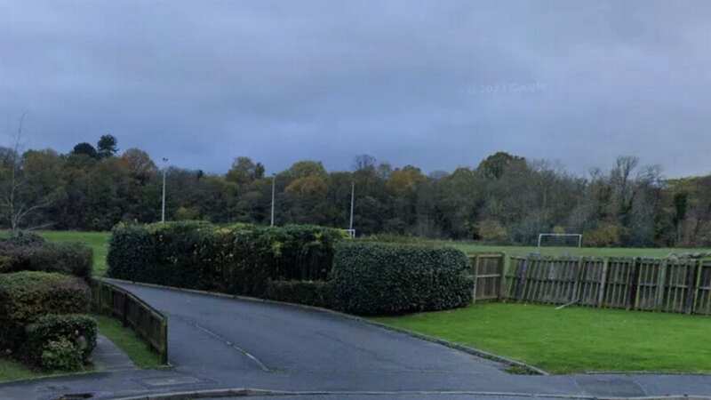 The body was found on Saturday morning (Image: Google Maps)