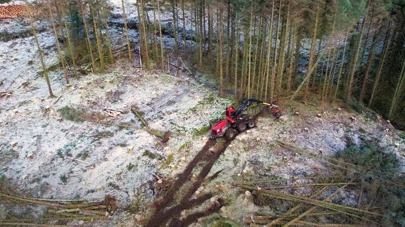 The hidden village was found in Glen Brittle forest on the Isle of Skye (Image: Forestry and Land Scotland/Youtube)