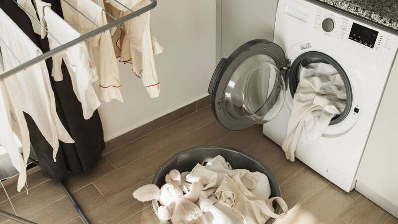 Mum throws out holy grail cleaning items for 