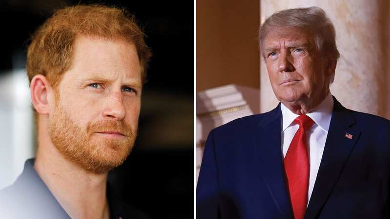 Jennie Bond has claimed Donald Trump could be a threat for Prince Harry (Image: GBNEWS)