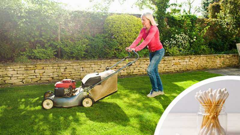 While the weather is getting warmer, experts are warning gardeners to make sure their grass is the right height before getting their lawn mowers out. (Image: Getty)