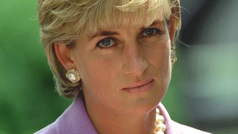 Diana felt 