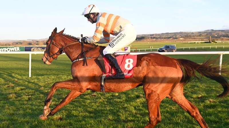 Maughreen and Patrick Mullins pictured winning the Irish Stallion Farms EBF Mares Flat Race at Punchestown (Image: RACINGFOTOS.COM)