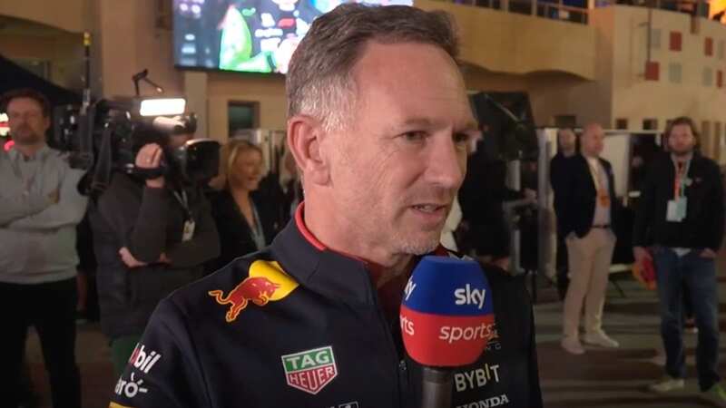 Red Bull team principal and CEO Christian Horner (Image: Sky Sports)