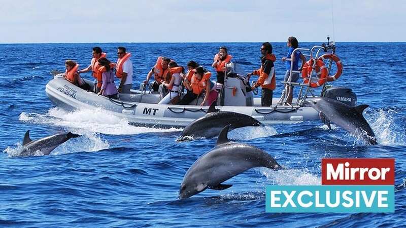 Rob Perkins is a sustainable wildlife tourism expert (Image: Supplied)