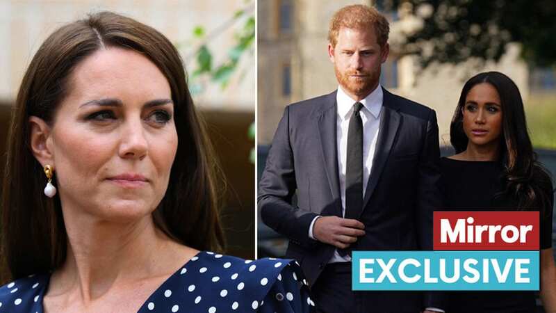 Meghan Markle and Prince Harry have been warned not to make any statements