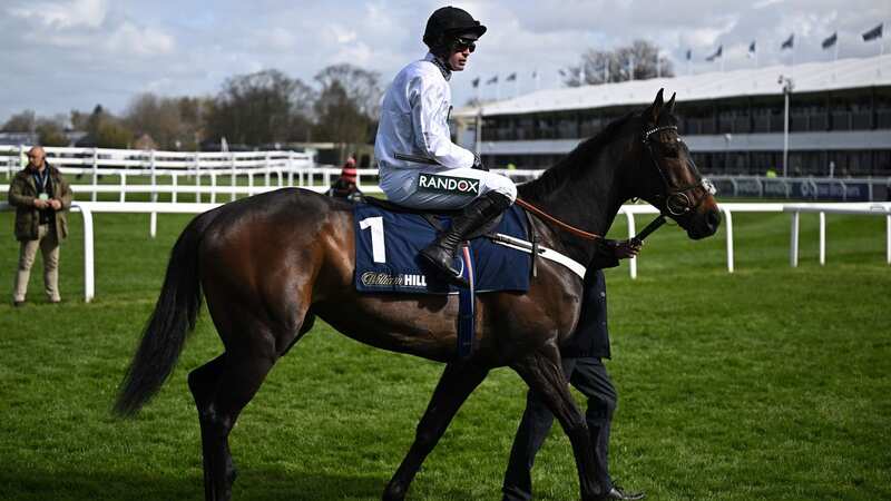 Constitution Hill has only ran on nine occasions in 27 months (Image: Getty Images)