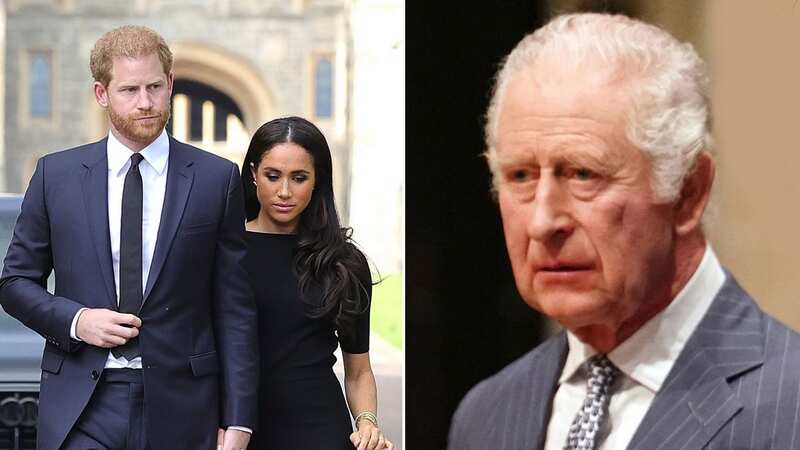 Prince Harry and Meghan Markle could return to royal duties