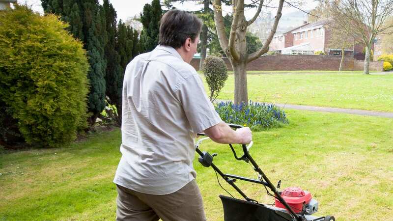Get rid of yellow or pale grass in no time with one easy step (stock photo) (Image: Getty Images/iStockphoto)
