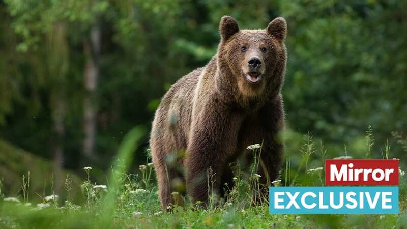 Rob Perkins is a big fan of doorstep safaris (Image: Supplied)