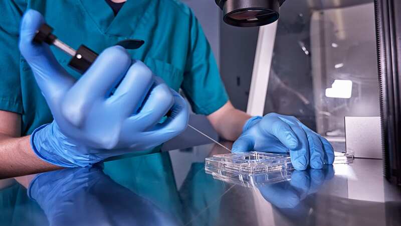 Three major IVF providers paused services following the Alabama Supreme Court ruling last month (Image: Getty Images)