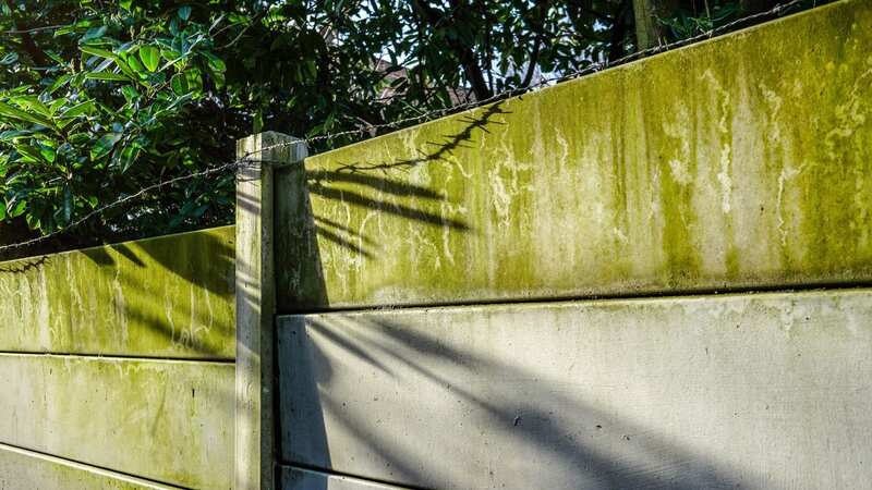 You could banish algae stains for just 55p (stock image) (Image: Getty Images/iStockphoto)