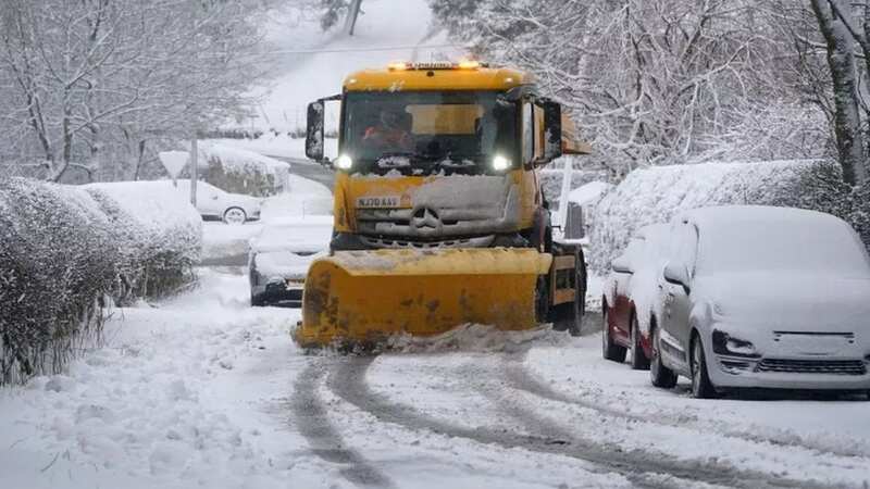 March is likely to see "widespread snow", experts say (Image: No credit)