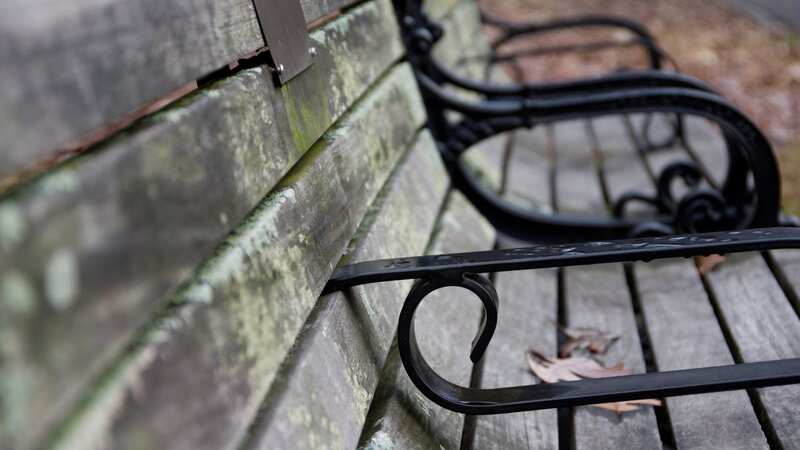 Some found the plaques really sweet (Stock Image) (Image: Getty Images/iStockphoto)