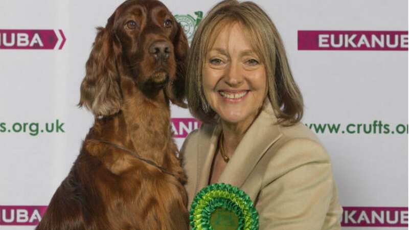 Irish Setter Jagger, pictured with handler Dee, was just three when he died (Image: Leicester Mercury)