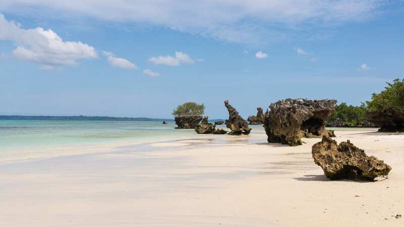 Sea turtle meat is considered a delicacy by Zanzibar’s people (Image: Getty Images/iStockphoto)