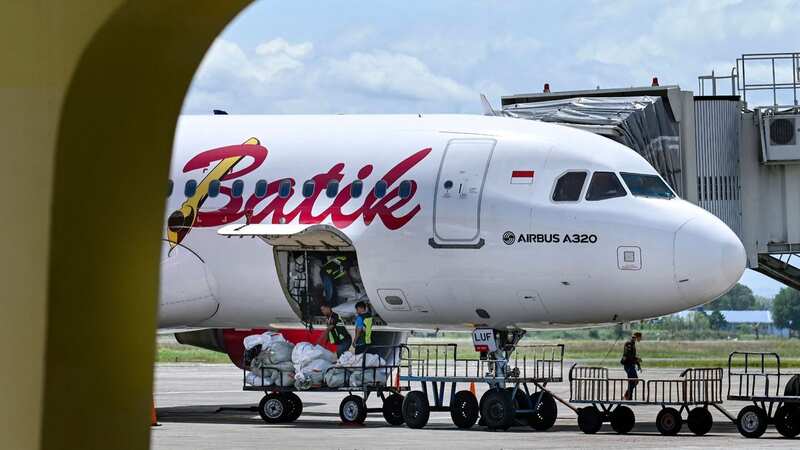 The pilots have been suspended after the incident (Image: AFP via Getty Images)