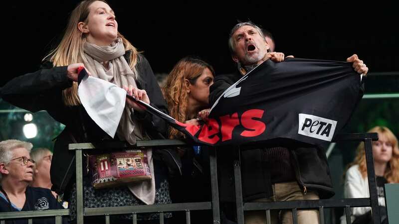 Animal activists violently clash with security guards during Crufts dog show