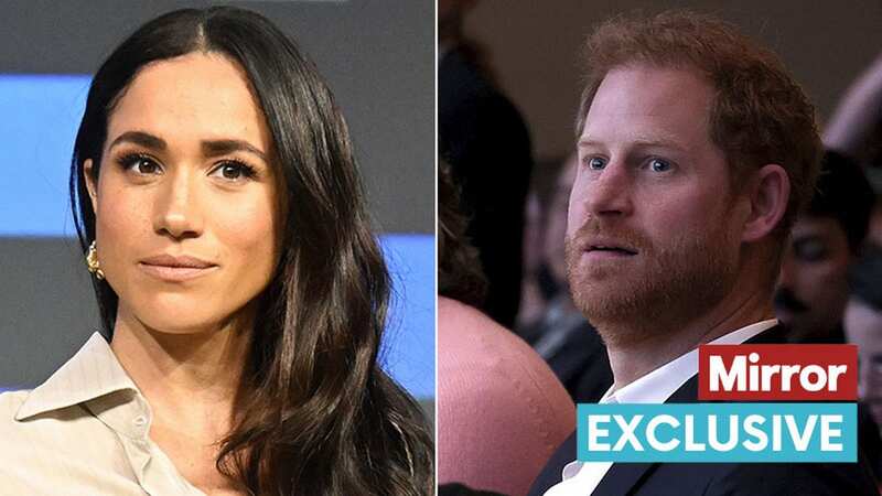 Meghan Markle and Prince Harry have been given some valuable advice (Image: Getty Images)