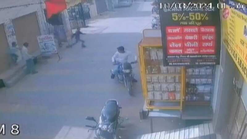 A child has been seriously attacked by a monkey in the middle of the street in Gangoh, in Uttar Pradesh, India (Image: @mirrornow / Facebook)