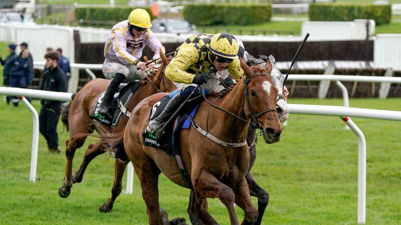 State Man won the Champion Hurdle on the opening day of the Cheltenham Festival